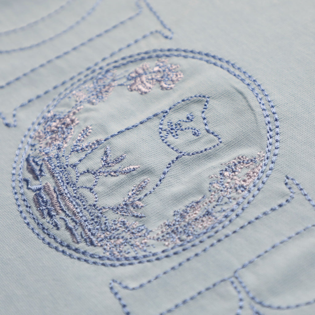Pre-Owned Dior Embroidered Logo T-Shirt – Light Blue Crew Neck Tee, Minimalist Luxury Style