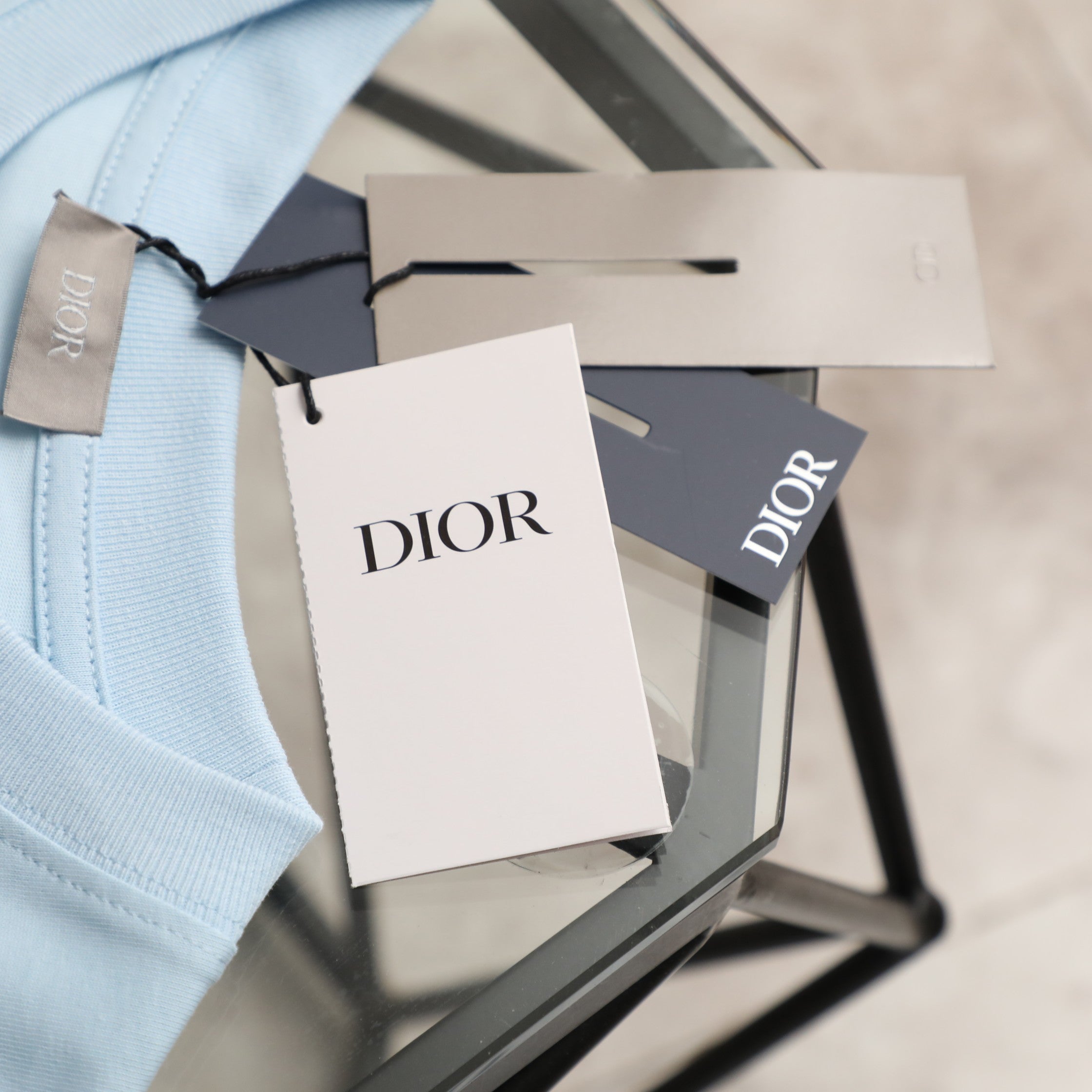 Pre-Owned Dior Embroidered Logo T-Shirt – Light Blue Crew Neck Tee, Minimalist Luxury Style