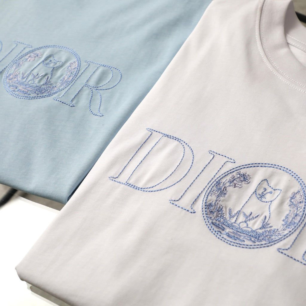 Pre-Owned Dior Embroidered Logo T-Shirt – Light Blue Crew Neck Tee, Minimalist Luxury Style