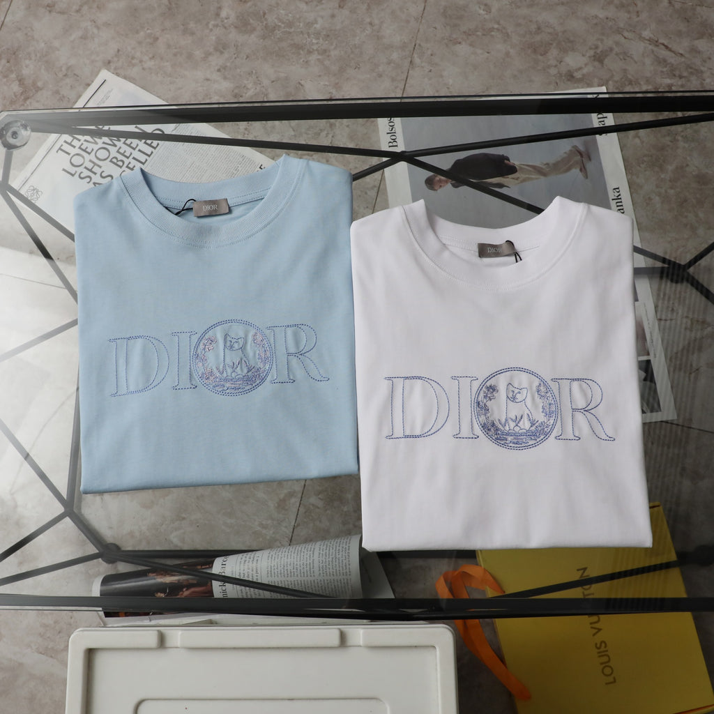 Pre-Owned Dior Embroidered Logo T-Shirt – Light Blue Crew Neck Tee, Minimalist Luxury Style